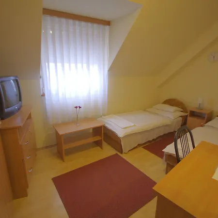 Vadaszkuert Superior מלון